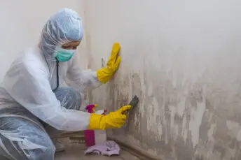 Damp in the house and how to fix it