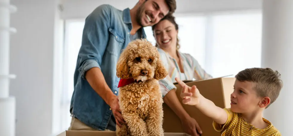 moving mistakes
